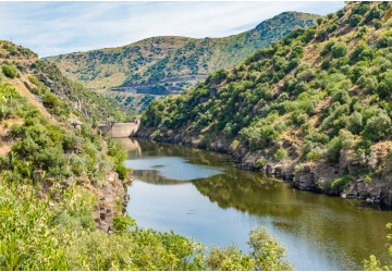 Discover the Douro on a fantastic Cruise in 2020
