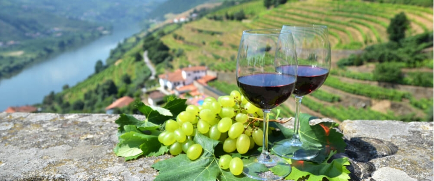 the-more-grapes-the-merrier-how-the-famous-port-wines-are-produced