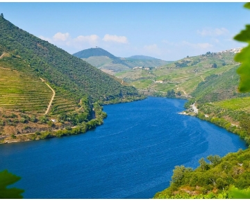 Lisbon to Douro Valley: the best ways to travel!