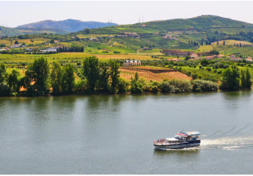 Passeio de barco pelo Vale do Douro: uma viagem de encanto entre vinhedos e paisagens inesquecíveis.