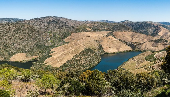 Um voo panorâmico pelo Douro permite apreciar as melhores paisagens