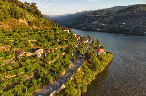 An Enchanted Douro: 3 unforgettable days