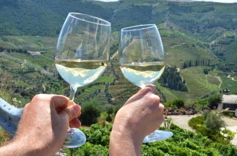 relaxing-escape-for-two-in-douro-discover-this-beautiful-region
