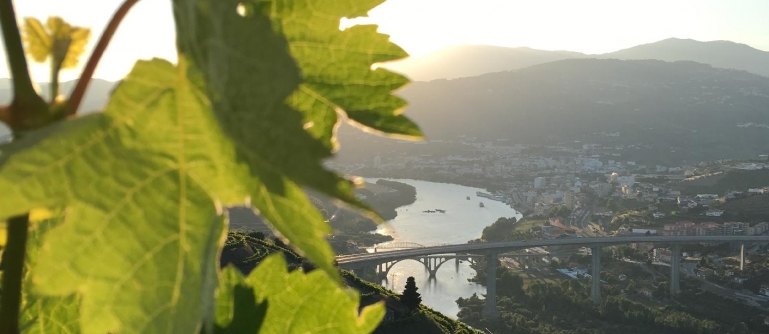Croisière 2 Jours - Porto-Régua-Porto (montée et descente)