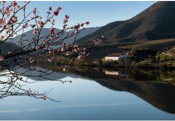 region-del-duero-un-viaje-por-la-prehistoria
