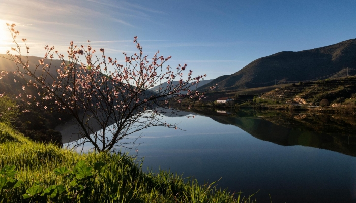 La beauté de ce paysage vous invite à passer des vacances romantiques